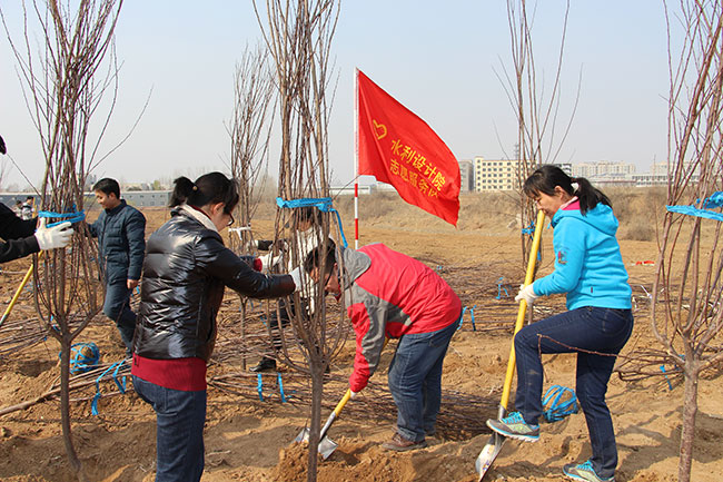 設(shè)計(jì)院干部職工在玉符河畔參加義務(wù)植樹活動